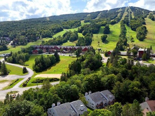 N Snow Tree Ln Unit Birchesn, Dover, Condo For Sale
