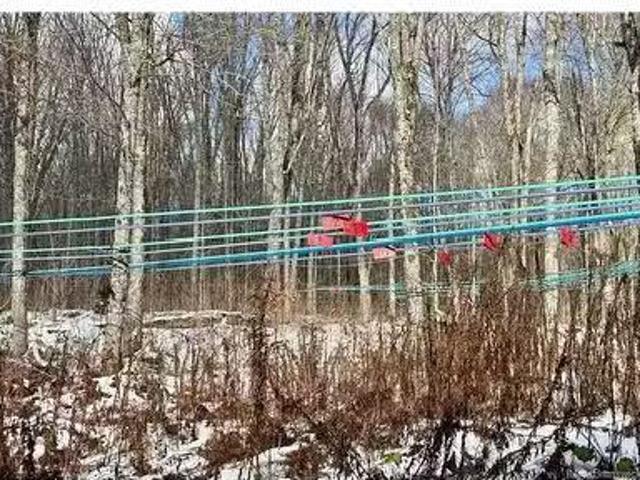 Na Woods Rd, Kedgwick, NB, E8B 1H1 commercial for sale List.