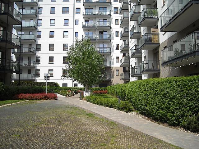 Na wynajem nowoczesne 31,6 m² w Gdańsku Wrzeszcz