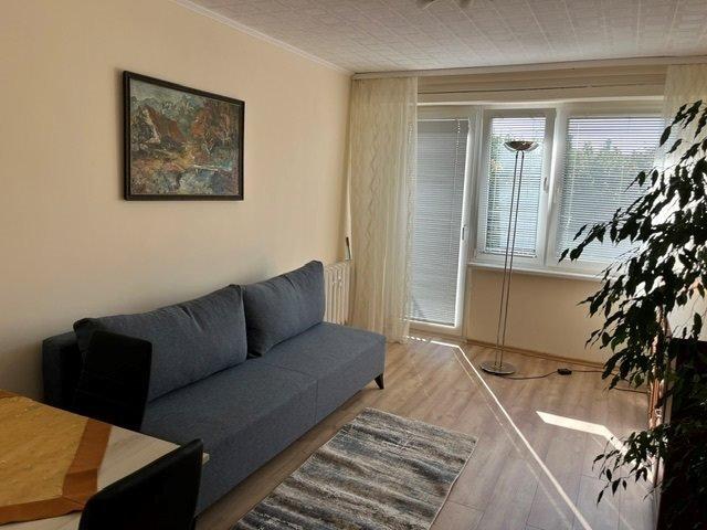 Na wynajem przestronne 3 pokojowe mieszkanie 48 m² w Aleksandrowie Łódzkim