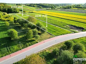 Nałęczów, Powiat puławski, Województwo lubelskie