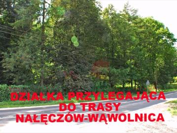 Nałęczów, Powiat puławski, Województwo lubelskie