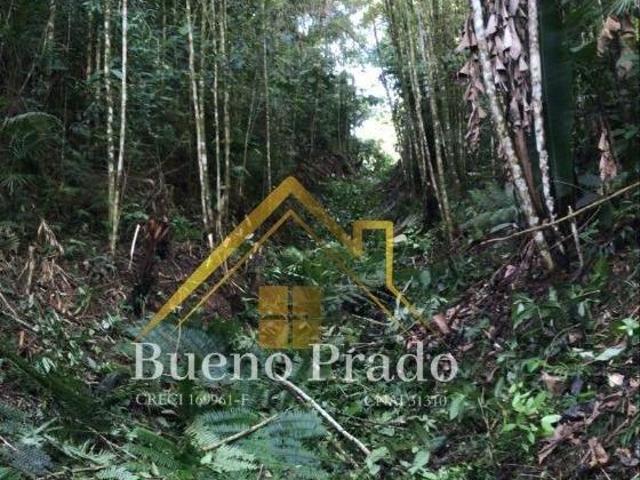 NA FLORESTA! ÁREA DE 4.000 METROS, TOTAL INTEGRAÇÃO NA NATUREZA