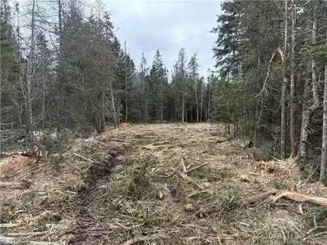 Na Route 790, Dipper Harbour, NB, E5J 1W4 vacant land for sa.