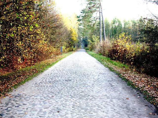 Na sprzedaż przestronny dom 377 m² na 3 ha z potencjałem