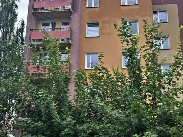 Przestronne 3 pokojowe mieszkanie 65 m² w Szprotawie