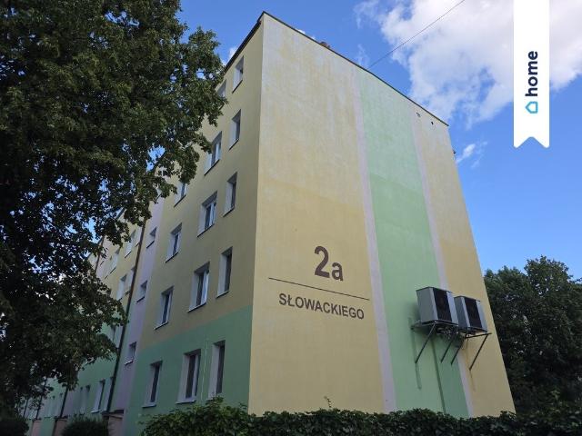 Na sprzedaż 46 m² mieszkanie do remontu w Świeciu