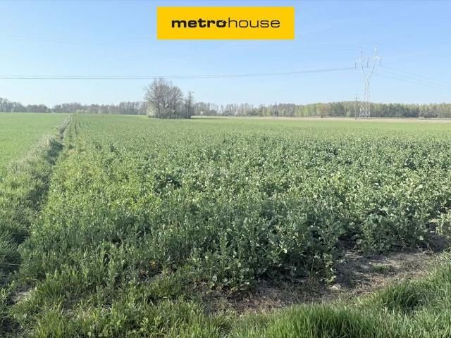 Na sprzedaż 4,28 ha ziemi z zabudową w Krubinie