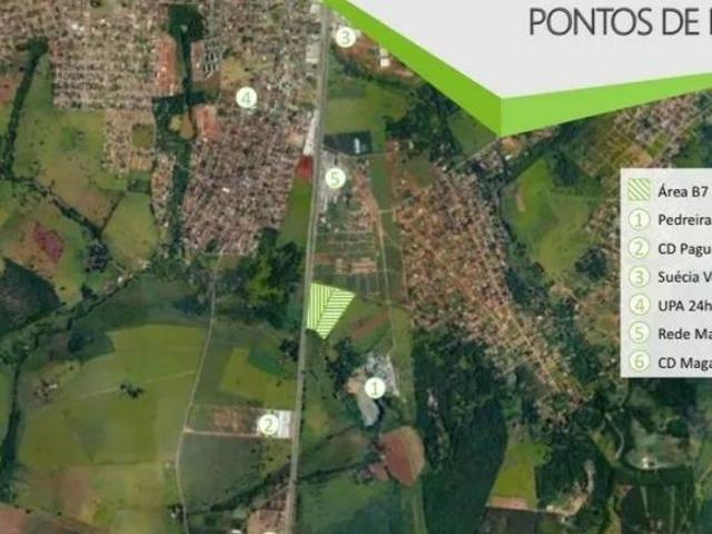 Na sua perspectiva, tudo vira sucesso