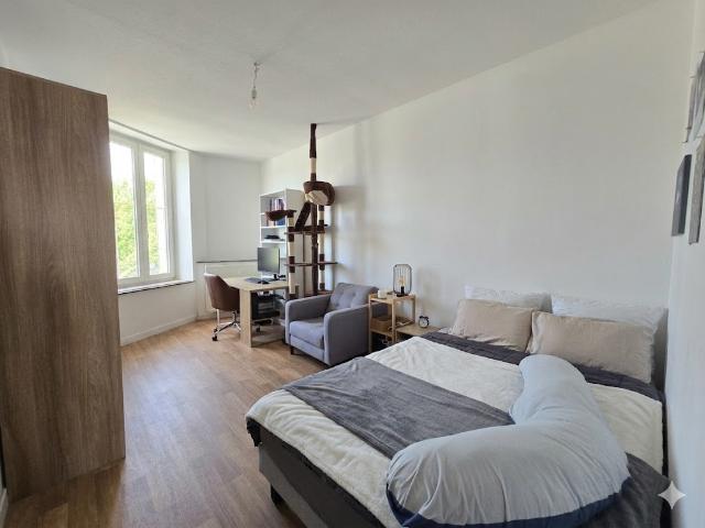 NANCY / QUARTIER HOPITAL CENTRAL: GRAND APPARTEMENT T2 LOUÉ POUR INVESTISSEUR