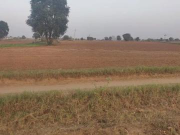 Pune, Pune District, Maharashtra