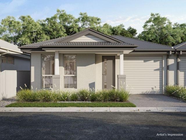 Nandina Chic modern living