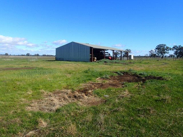 NABETHONG COLLENDINA DISTRICT 220 ACRES: TO BE SOLD
