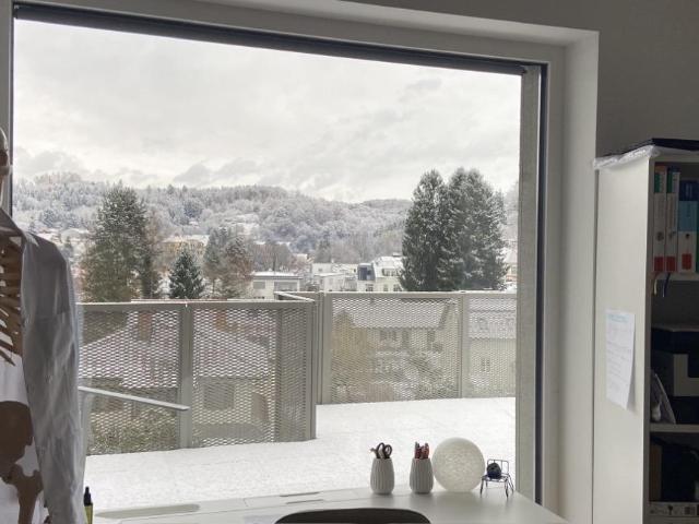 Nachmieter ab September gesucht I 38m^2 Wohnung mit 44,5m^2 Balkon I Nähe MedUni Graz