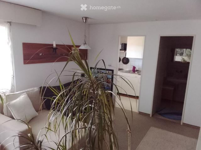 Nachmieter für 1,5 Zimmerwohnung