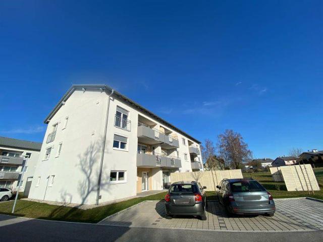 NACHMIETER GESUCHT! 2 Zimmer Erdgeschosswohnung mit Eigengarten