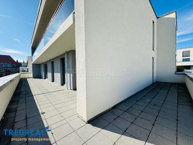 Nachmieter gesucht: 4 Zimmer Terrassenwohnung, 152 m², ca. 115 m² Terrasse am Schlosspark
