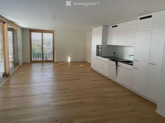 Nachmieter gesucht für neue 3.5 Zimmer Attikawohnung in Richterswil