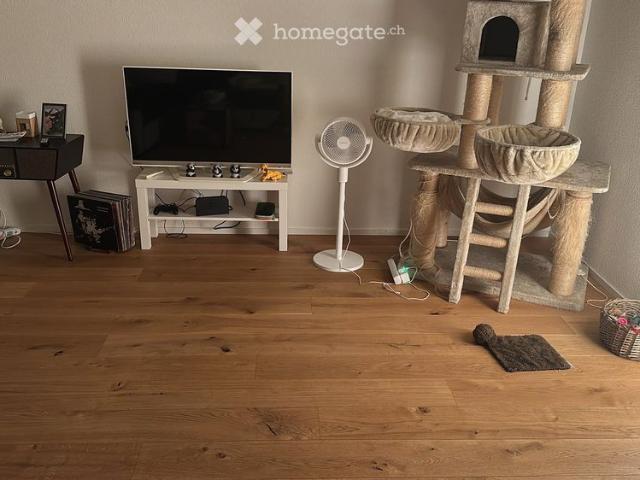 Nachmieter gesucht per 01.11.2026 – schöne 1,5 Zimmer Wohnung in 6014 Luzern
