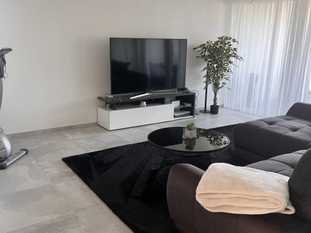 Nachmieter/ in für Wohnung in Villmergen gesucht