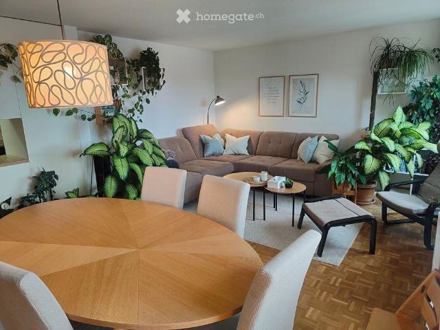 Nachmieter/in gesucht – 3.5 Zimmer Wohnung ab 1. November 2026