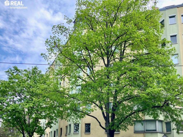 NÄHE AUGARTEN – komplett möblierte 3 ZIMMER WOHNUNG – sofort einziehen und wohlfühlen!