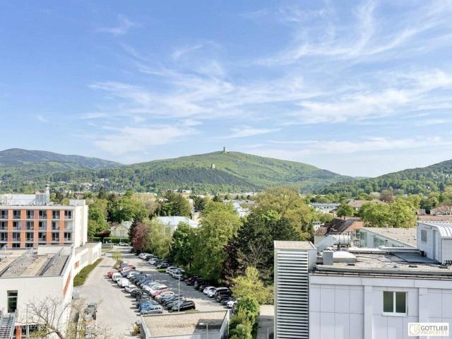 Nähe Altstadt! Bis Februar 2027 befristet vermietete Dachgeschoss Studio Wohnung mit Fernblick