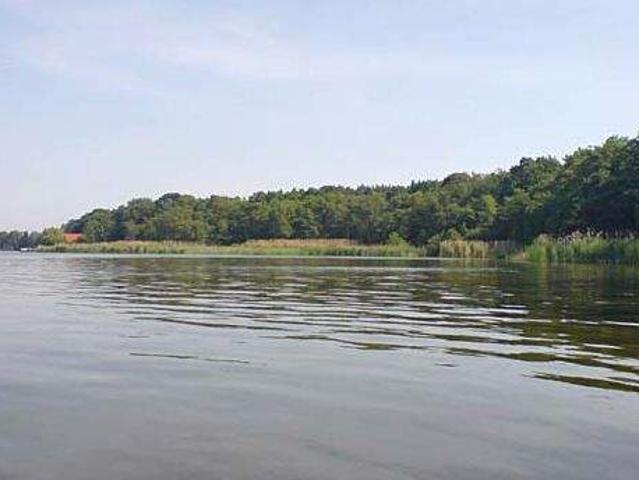 Nähe Habermannsee Attraktives Einfamilienhaus mit großem Grundstück und Erweiterungspotenzial