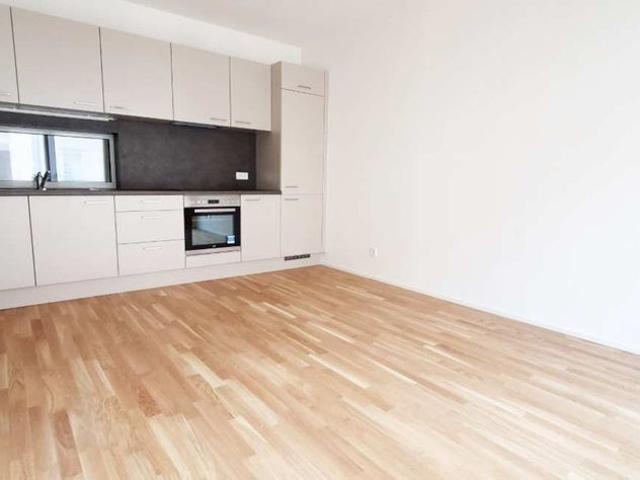 Nähe Lendplatz – sonnige, gepflegte Wohnung, 2 Zimmer, Balkon