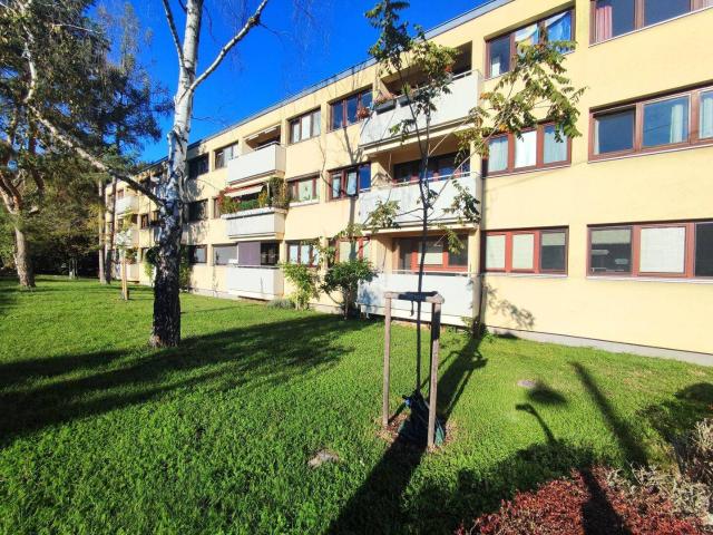 NÄHE REICHE LIESING Sanierungsbedürftige 3 Zimmer Wohnung mit Loggia