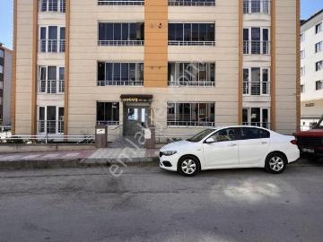 Merzifon, Amasya ili, Karadeniz Bölgesi