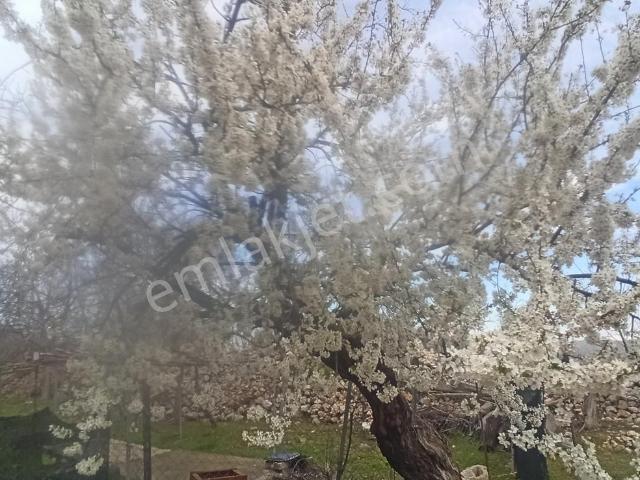 Çınar Emlaktan Kızılpınarda Bahçeli Müstakil Ev