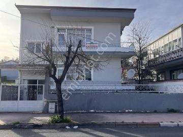 Merzifon, Amasya ili, Karadeniz Bölgesi