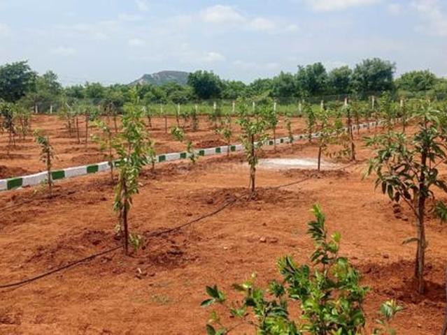 Narayankhed Residential Plot For Sale Sangareddy