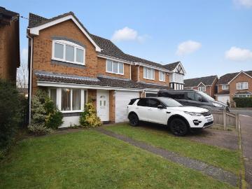 Broadland, NR12, East of England - Garden