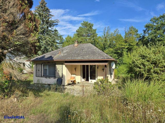NATUR trifft NATUR – Idylle PUR – Verkauf aus Verlassenschaft