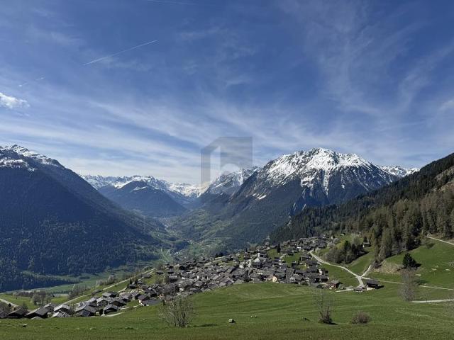 NATUR, UNGEHINDERTE UND EINZIGARTIGE AUSSICHT