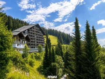 Natur, Erholung & Freizeit vereint – Ferienwohnung auf der Simonhöhe mit Pool und Sauna im Haus!