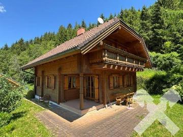 Natur genießen Alltag vergessen, Ferienhaus in Donnersbachwald