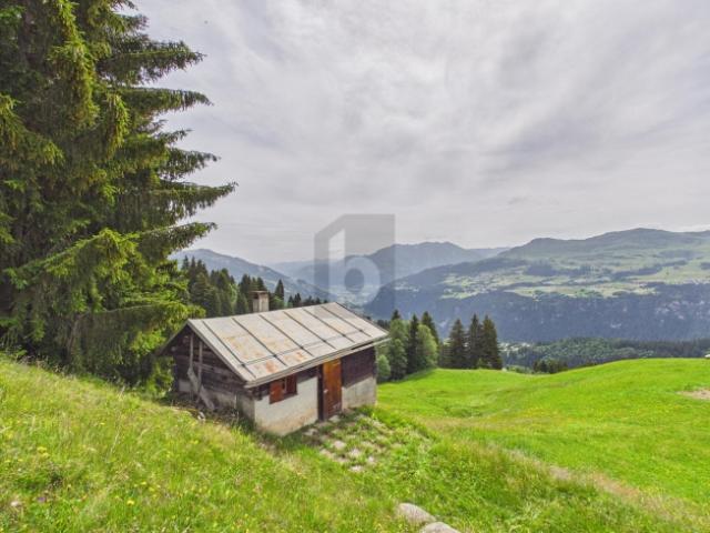 NATUR PARADIES MIT TRAUMHAFTER WEITSICHT
