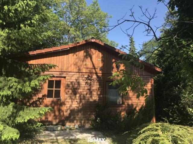 Natur pur Holzblockhaus eingebettet in sonniger Ruhelage