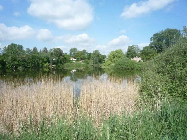 Natur pur und doch Citynah Doppelhaushälfte in Hönow mit U Bahnanbindung zum Berliner Hauptbahnhof