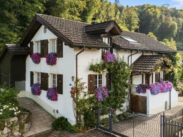 Natur pur und Privatsphäre!