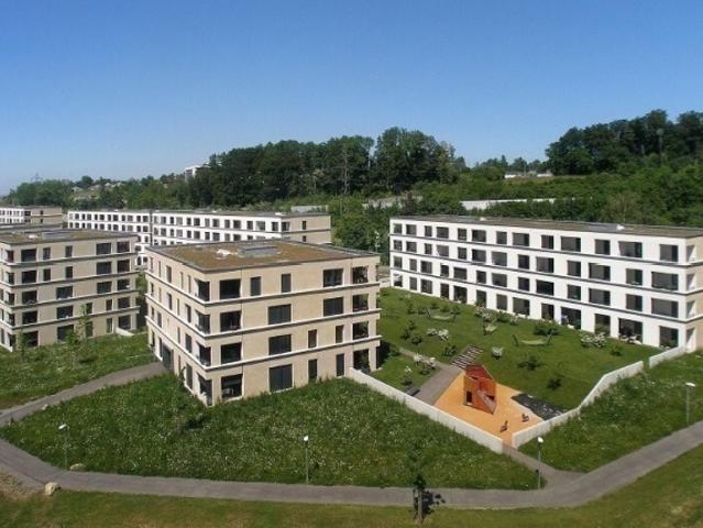 Naturnah Wohnen vor den Toren Zürichs