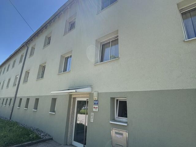 naturnahes wohnen auf dem land mit dennoch guter infrastruktur! moderne 3 zimmer wohnung mit in ampflwang! miete inkl. heizung und warmwasser!