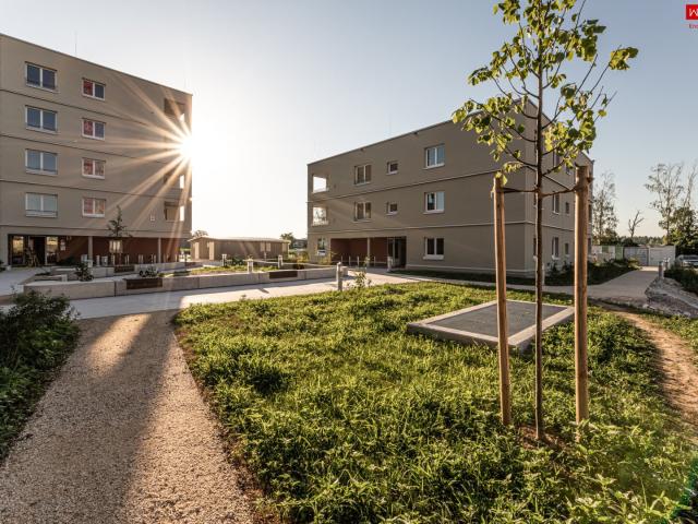 naturnahes wohnen in gunskirchen geförderte mietwohnungen in moderner hybridbauweise