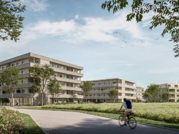 naturnahes wohnen in gunskirchen geförderte mietwohnungen in moderner hybridbauweise