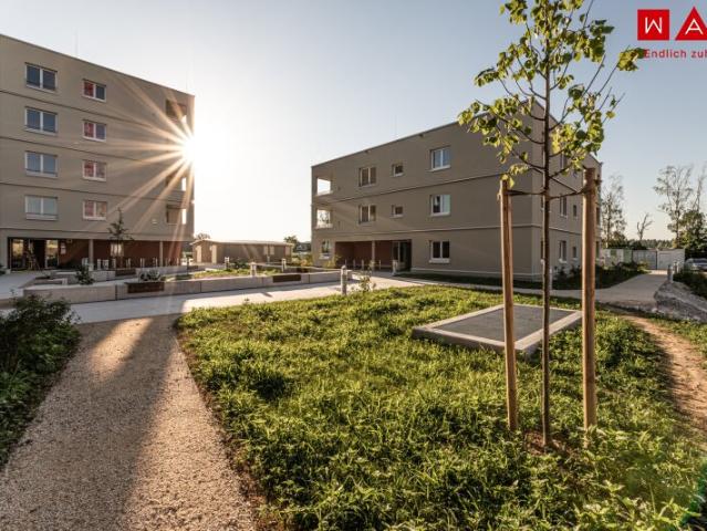 Naturnahes Wohnen in Gunskirchen geförderte NEUBAU Mietwohnungen in moderner Hybridbauweise