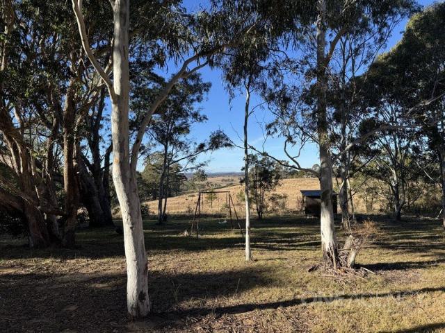 Escape the City Your Bush Retreat Awaits