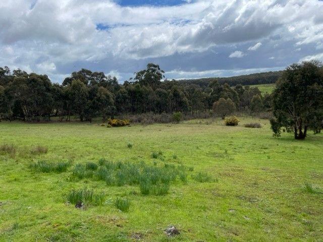 Natural bush setting Rural opportunity, 94 acres